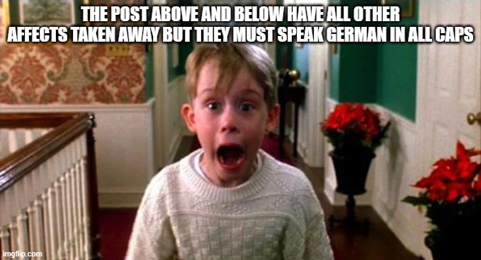 Kevin Home Alone | THE POST ABOVE AND BELOW HAVE ALL OTHER AFFECTS TAKEN AWAY BUT THEY MUST SPEAK GERMAN IN ALL CAPS | image tagged in kevin home alone | made w/ Imgflip meme maker