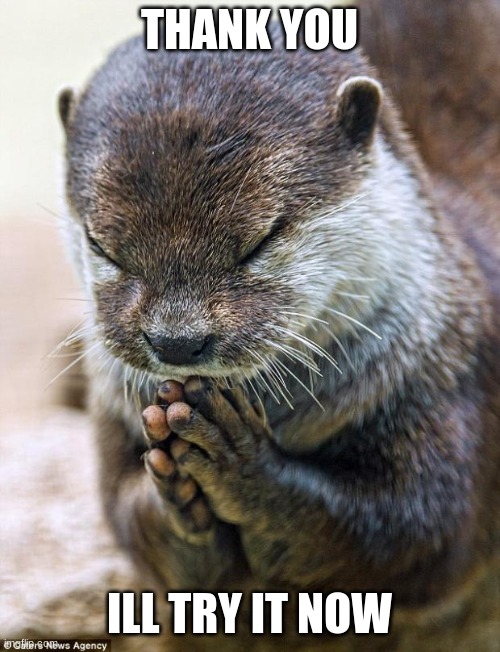 Thank you Lord Otter | THANK YOU ILL TRY IT NOW | image tagged in thank you lord otter | made w/ Imgflip meme maker
