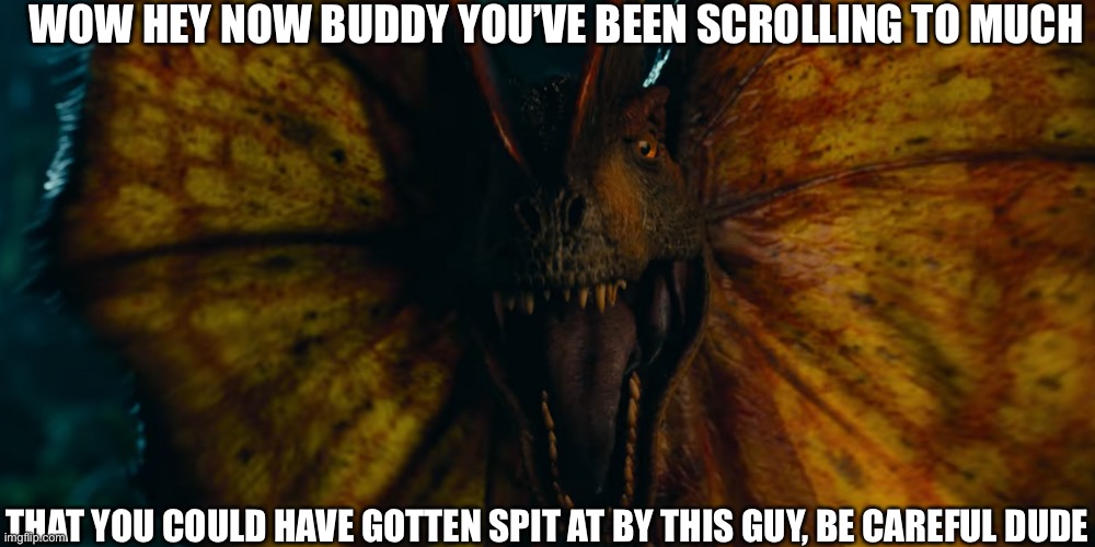 ! | WOW HEY NOW BUDDY YOU’VE BEEN SCROLLING TO MUCH; THAT YOU COULD HAVE GOTTEN SPIT AT BY THIS GUY, BE CAREFUL DUDE | image tagged in dilophosaurus in jwd,jurassic park,jurassic world,dinosaurs,why are you reading the tags | made w/ Imgflip meme maker