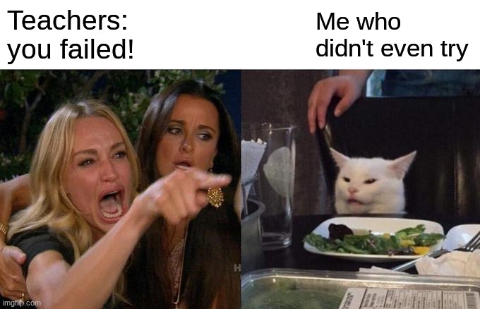 Woman Yelling At Cat | Teachers: you failed! Me who didn't even try | image tagged in memes,woman yelling at cat | made w/ Imgflip meme maker
