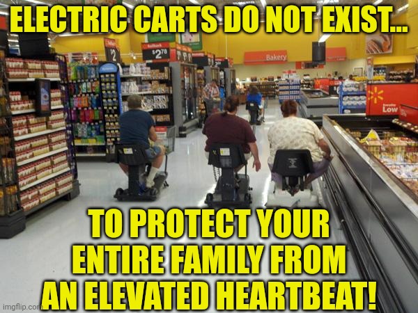 Your 10,000 calorie diet is a handicap requiring an electric cart ehh? | ELECTRIC CARTS DO NOT EXIST... TO PROTECT YOUR ENTIRE FAMILY FROM AN ELEVATED HEARTBEAT! | image tagged in shopping,shopping cart,overweight,expectation vs reality,think about it,change | made w/ Imgflip meme maker