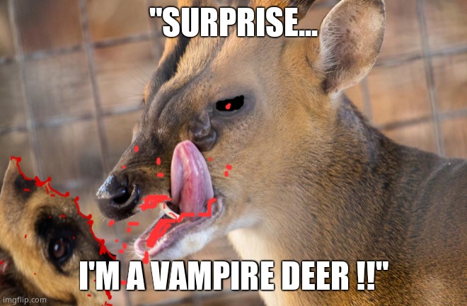 "SURPRISE... I'M A VAMPIRE DEER !!" | made w/ Imgflip meme maker
