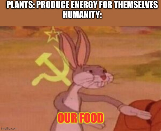 Got this idea in biology class | PLANTS: PRODUCE ENERGY FOR THEMSELVES
HUMANITY:; OUR FOOD | image tagged in our,plants | made w/ Imgflip meme maker