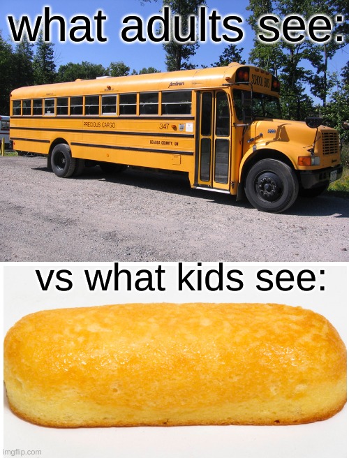ah yes, big yellow tube with white stuff inside (if you live in the suburbs, of course) | what adults see:; vs what kids see: | image tagged in school bus,twinkie,school,bus,why are you reading this | made w/ Imgflip meme maker