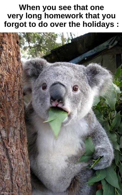 "That was as this moment he knew, he f***ed up" | When you see that one very long homework that you forgot to do over the holidays : | image tagged in memes,funny,relatable,surprised koala,homework,front page plz | made w/ Imgflip meme maker