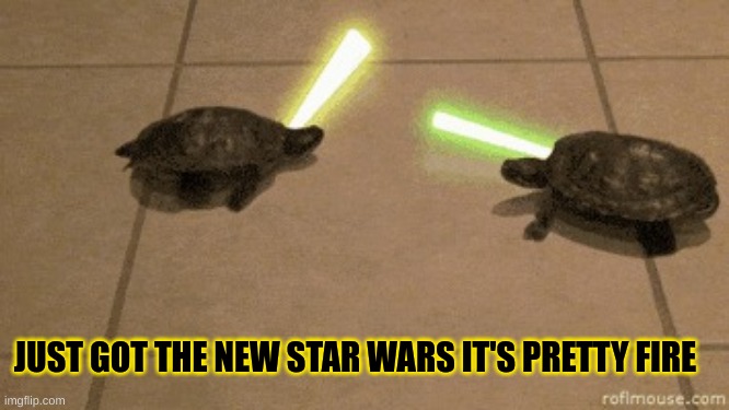 turtle fighting | JUST GOT THE NEW STAR WARS IT'S PRETTY FIRE | image tagged in turtle fighting | made w/ Imgflip meme maker
