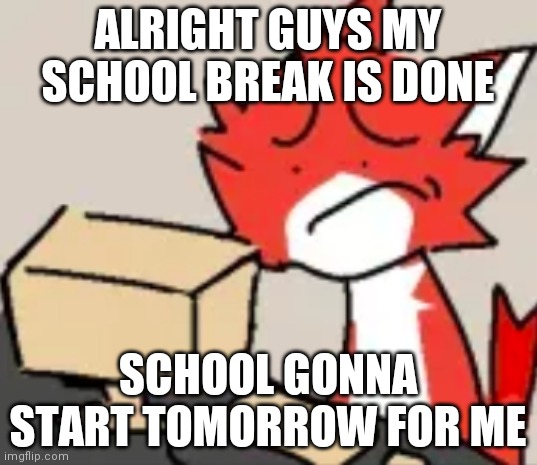 Bye dumbass | ALRIGHT GUYS MY SCHOOL BREAK IS DONE; SCHOOL GONNA START TOMORROW FOR ME | image tagged in distraught | made w/ Imgflip meme maker