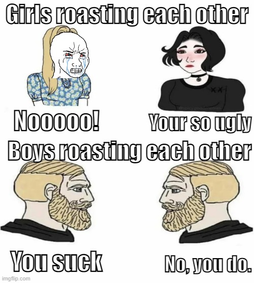 True NGL. | Girls roasting each other; Nooooo! Your so ugly; Boys roasting each other; You suck; No, you do. | image tagged in boys vs girls | made w/ Imgflip meme maker