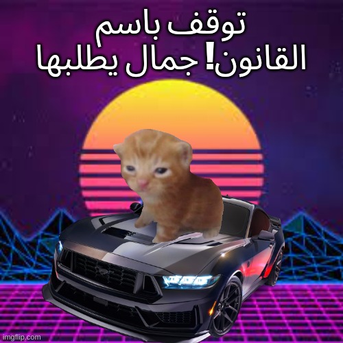 توقف باسم القانون! جمال يطلبها | made w/ Imgflip meme maker