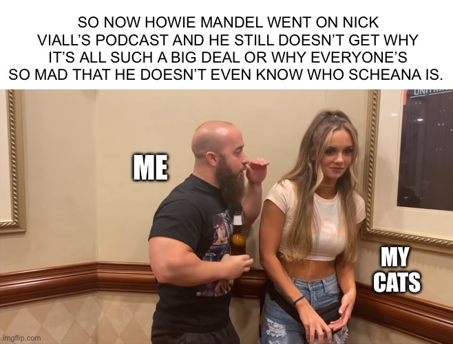 John Silver Explaining to Anna Jay | SO NOW HOWIE MANDEL WENT ON NICK VIALL’S PODCAST AND HE STILL DOESN’T GET WHY IT’S ALL SUCH A BIG DEAL OR WHY EVERYONE’S SO MAD THAT HE DOESN’T EVEN KNOW WHO SCHEANA IS. ME; MY 
CATS | image tagged in john silver explaining to anna jay | made w/ Imgflip meme maker