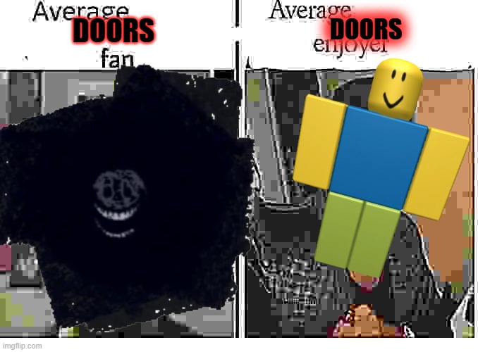 idk how to describe this | DOORS; DOORS | image tagged in average fan vs average enjoyer | made w/ Imgflip meme maker