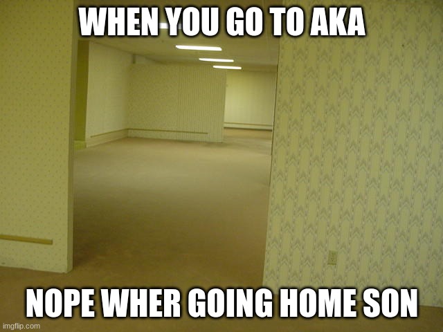 The Backrooms | WHEN YOU GO TO AKA; NOPE WHER GOING HOME SON | image tagged in the backrooms | made w/ Imgflip meme maker