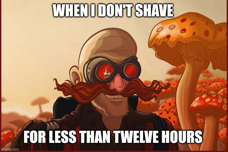 Facial hair is a curse | WHEN I DON'T SHAVE; FOR LESS THAN TWELVE HOURS | image tagged in hobo robotnik | made w/ Imgflip meme maker