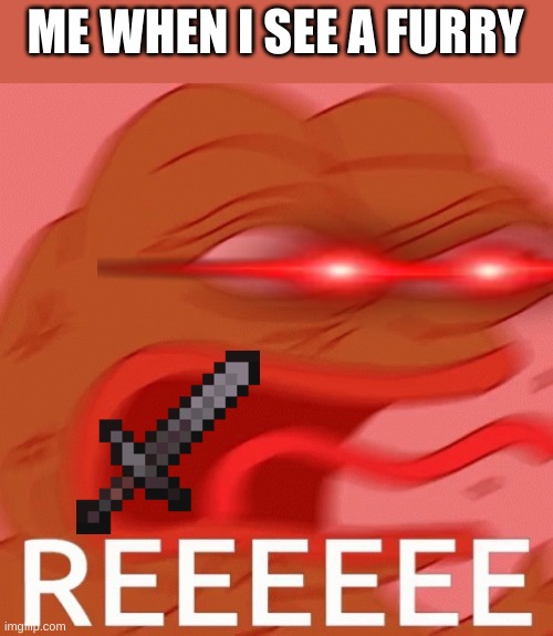 REEEEEEEEEEEEEEEEEEEEEEEEEEEEEEEEEEEEEEEEEE | ME WHEN I SEE A FURRY | image tagged in ree | made w/ Imgflip meme maker