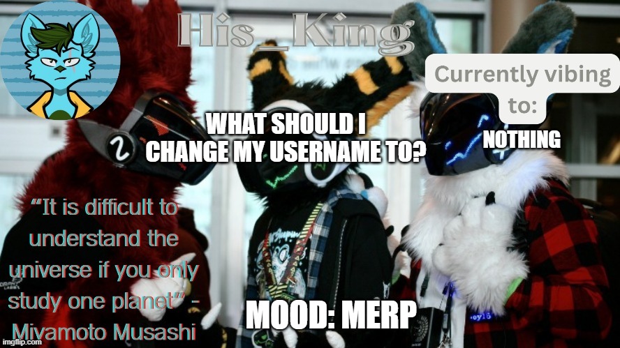 His_Kings template (credit to We_Came_As_Protogens) | WHAT SHOULD I CHANGE MY USERNAME TO? NOTHING; MOOD: MERP | image tagged in his_kings template credit to we_came_as_protogens | made w/ Imgflip meme maker