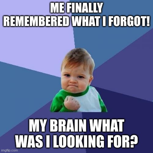 Success Kid Meme | ME FINALLY REMEMBERED WHAT I FORGOT! MY BRAIN WHAT WAS I LOOKING FOR? | image tagged in memes,success kid | made w/ Imgflip meme maker