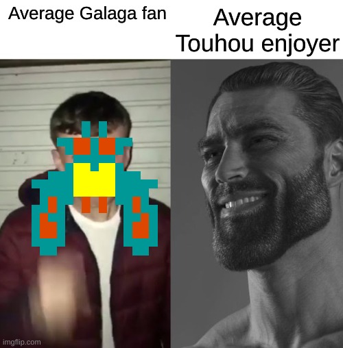 Average Fan vs Average Enjoyer | Average Touhou enjoyer; Average Galaga fan | image tagged in average fan vs average enjoyer | made w/ Imgflip meme maker