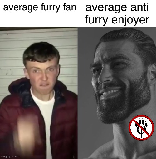 anti furry rules furry drools | average anti furry enjoyer; average furry fan | image tagged in average fan vs average enjoyer | made w/ Imgflip meme maker