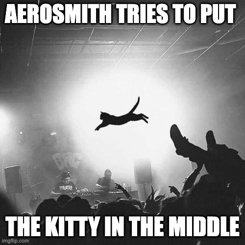 Aerosmith tries to put the kitty in the middle | AEROSMITH TRIES TO PUT; THE KITTY IN THE MIDDLE | image tagged in concert | made w/ Imgflip meme maker