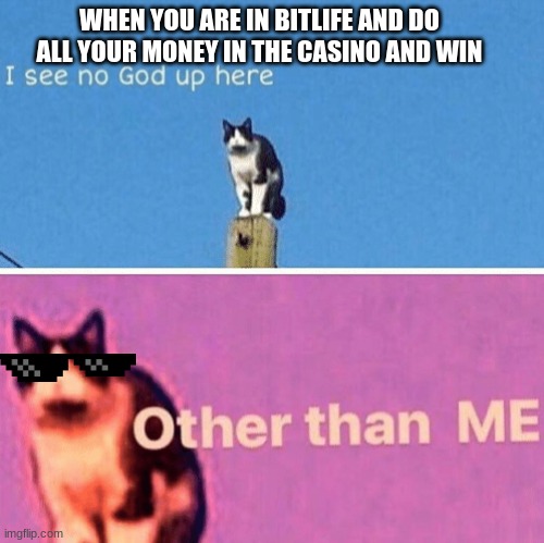 1m I get! | WHEN YOU ARE IN BITLIFE AND DO ALL YOUR MONEY IN THE CASINO AND WIN | image tagged in hail pole cat | made w/ Imgflip meme maker