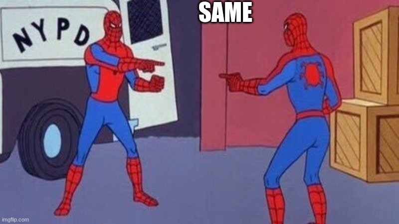 spiderman pointing at spiderman | SAME | image tagged in spiderman pointing at spiderman | made w/ Imgflip meme maker