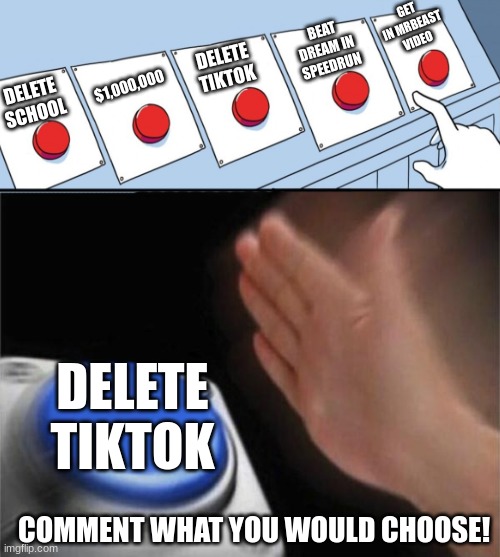 Choices... Choices | GET IN MRBEAST VIDEO; BEAT DREAM IN SPEEDRUN; DELETE TIKTOK; $1,000,000; DELETE SCHOOL; DELETE TIKTOK; COMMENT WHAT YOU WOULD CHOOSE! | image tagged in memes,blank nut button | made w/ Imgflip meme maker