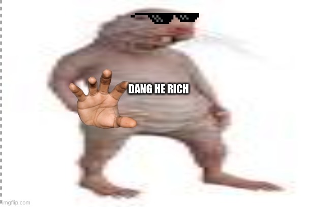 rich mole rat | DANG HE RICH | image tagged in naked mole rat | made w/ Imgflip meme maker
