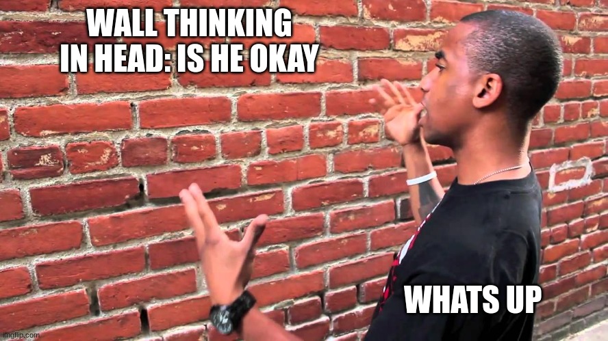 Talking to wall | WALL THINKING IN HEAD: IS HE OKAY; WHATS UP | image tagged in talking to wall | made w/ Imgflip meme maker