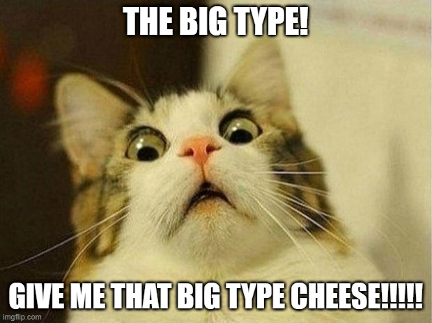 Cat cheese | THE BIG TYPE! GIVE ME THAT BIG TYPE CHEESE!!!!! | image tagged in memes,scared cat | made w/ Imgflip meme maker