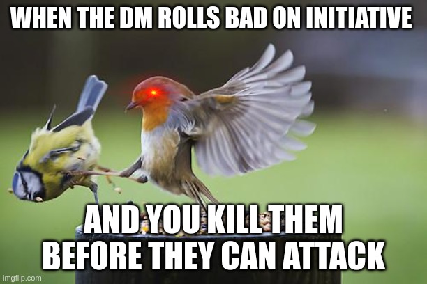YOU DIEEEEEE | WHEN THE DM ROLLS BAD ON INITIATIVE; AND YOU KILL THEM BEFORE THEY CAN ATTACK | image tagged in bird sparta | made w/ Imgflip meme maker