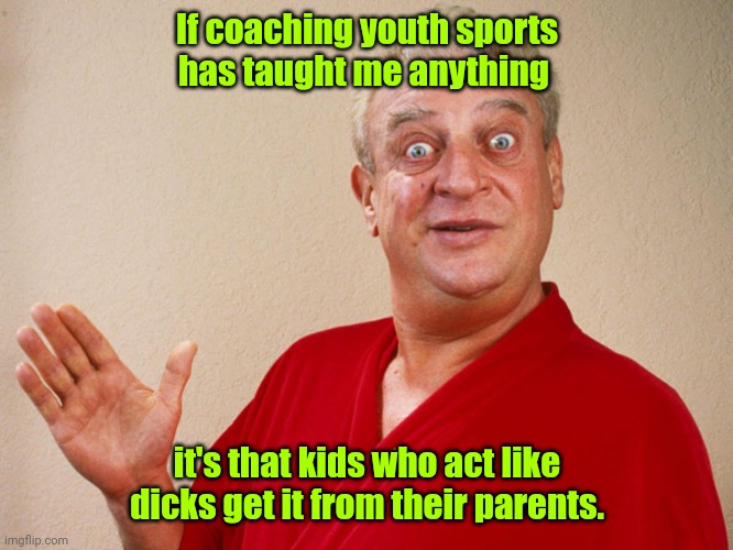 How come my submissions only get 4 views? | If coaching youth sports has taught me anything; it's that kids who act like dicks get it from their parents. | image tagged in rodney dangerfield,funny | made w/ Imgflip meme maker