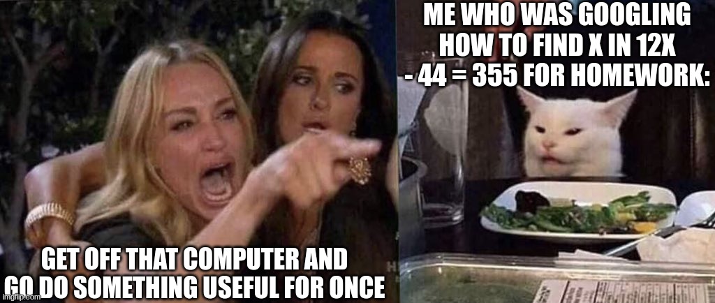 woman yelling at cat | GET OFF THAT COMPUTER AND GO DO SOMETHING USEFUL FOR ONCE ME WHO WAS GOOGLING HOW TO FIND X IN 12X - 44 = 355 FOR HOMEWORK: | image tagged in woman yelling at cat | made w/ Imgflip meme maker