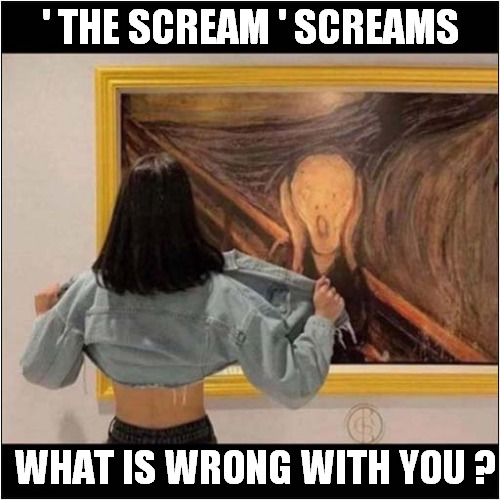An Exposure To Art ! | ' THE SCREAM ' SCREAMS; WHAT IS WRONG WITH YOU ? | image tagged in the scream,screaming,exposed,dark humour | made w/ Imgflip meme maker