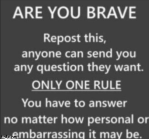 are you brave | image tagged in are you brave | made w/ Imgflip meme maker