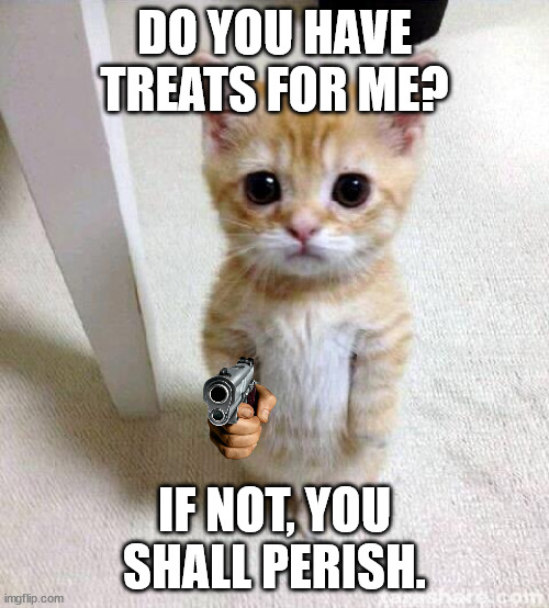 Gun cat meme | DO YOU HAVE TREATS FOR ME? IF NOT, YOU SHALL PERISH. | image tagged in cat memes,cats,cats with guns,guns | made w/ Imgflip meme maker