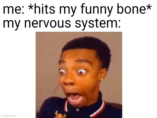 funny bone be like | me: *hits my funny bone*

my nervous system: | image tagged in memes,funny,relatable | made w/ Imgflip meme maker