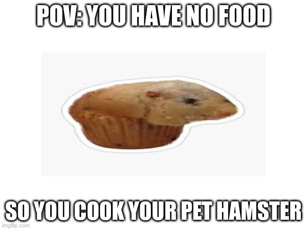 hamster | POV: YOU HAVE NO FOOD; SO YOU COOK YOUR PET HAMSTER | image tagged in memes,hamster | made w/ Imgflip meme maker