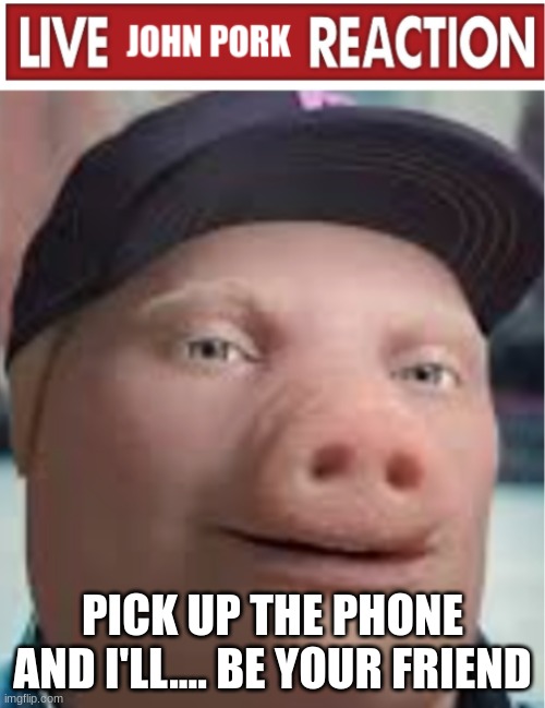 PICK UP THE PHONE AND I'LL.... BE YOUR FRIEND | image tagged in live john pork reaction | made w/ Imgflip meme maker