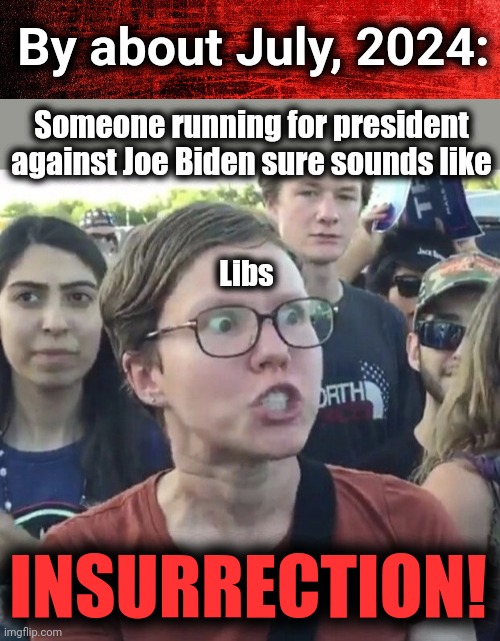 Then let the mass imprisonments begin! | By about July, 2024:; Someone running for president against Joe Biden sure sounds like; Libs; INSURRECTION! | image tagged in red background,triggered feminist,democrats,election 2024,joe biden,insurrection | made w/ Imgflip meme maker