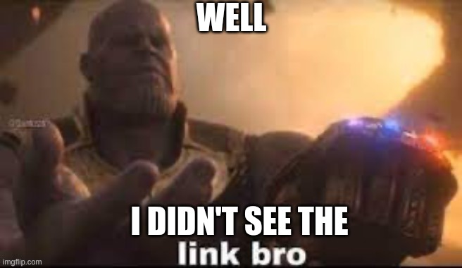 link bro | WELL I DIDN'T SEE THE | image tagged in link bro | made w/ Imgflip meme maker