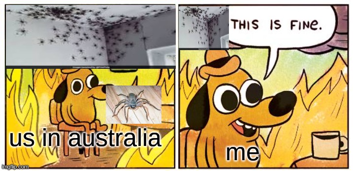austalia | us in australia; me | image tagged in memes,this is fine | made w/ Imgflip meme maker