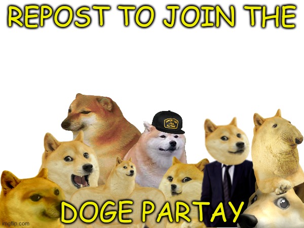 JOIN UP!!! | REPOST TO JOIN THE; DOGE PARTAY | image tagged in doge party,dogs,memes,funny,repost to join | made w/ Imgflip meme maker
