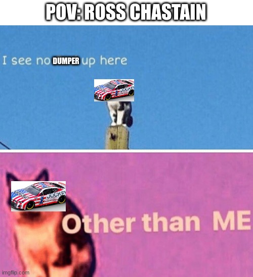 yeah true | POV: ROSS CHASTAIN; DUMPER | image tagged in hail pole cat | made w/ Imgflip meme maker