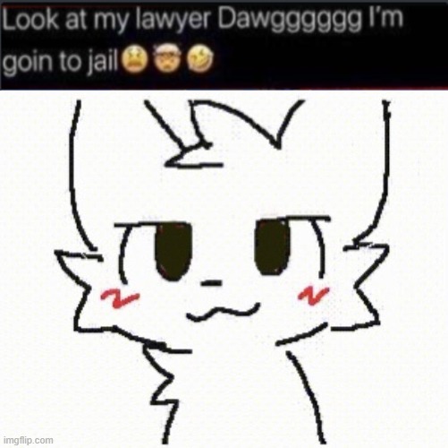 im so going to jail | image tagged in look at my lawyer dawggg,you like kissing boys | made w/ Imgflip meme maker