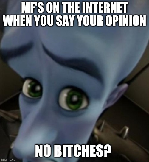 Megamind no bitches | MF'S ON THE INTERNET WHEN YOU SAY YOUR OPINION; NO BITCHES? | image tagged in megamind no bitches,kys | made w/ Imgflip meme maker