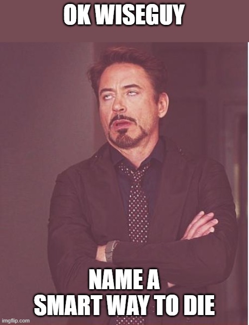 Face You Make Robert Downey Jr Meme | OK WISEGUY NAME A SMART WAY TO DIE | image tagged in memes,face you make robert downey jr | made w/ Imgflip meme maker