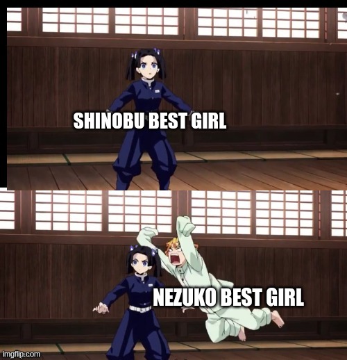 nezuko best girl V.S. shinobu best girl | SHINOBU BEST GIRL; NEZUKO BEST GIRL | image tagged in demon slayer,funny memes,nezuko,shinobu,vs | made w/ Imgflip meme maker