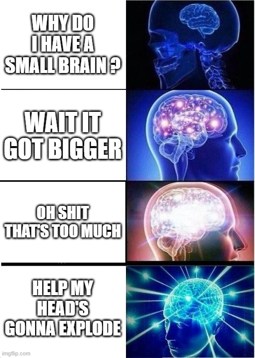 E | WHY DO I HAVE A SMALL BRAIN ? WAIT IT GOT BIGGER; OH SHIT THAT'S TOO MUCH; HELP MY HEAD'S GONNA EXPLODE | image tagged in memes,expanding brain | made w/ Imgflip meme maker