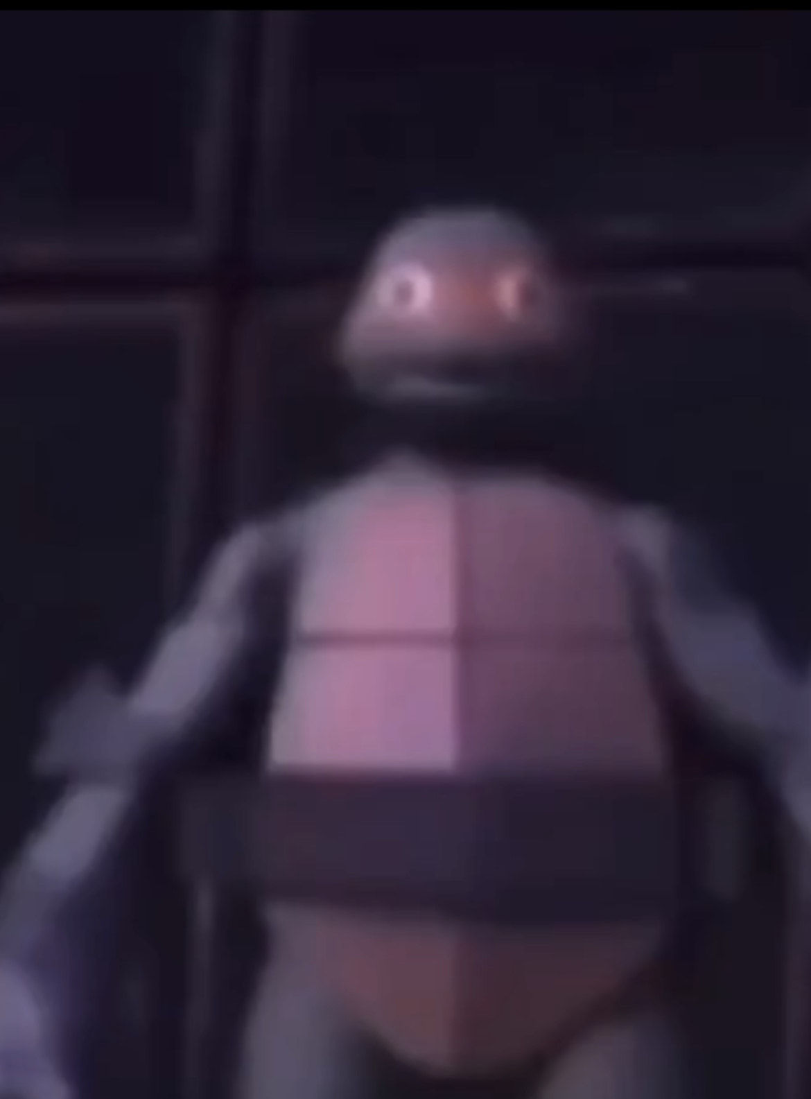 TMNT Mikey just standing there Blank Meme Template