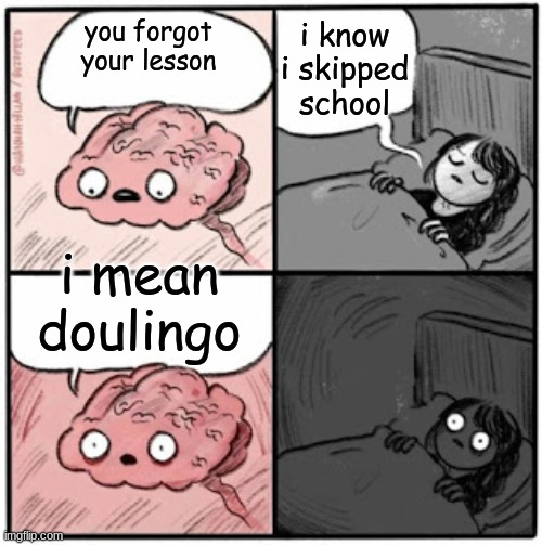 doulingo | i know i skipped school; you forgot your lesson; i mean doulingo | image tagged in brain before sleep | made w/ Imgflip meme maker